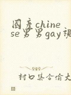 国产chinese男男gay视频网站