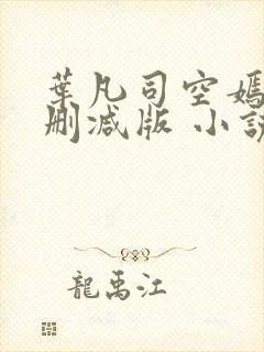 叶凡司空嫣然未删减版 小说封面