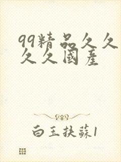 99精品久久久久久国产