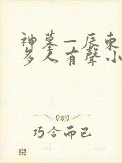 神墓—辰东免费多人有声小说