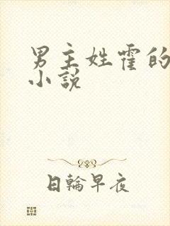 男主姓霍的总裁小说