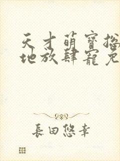 天才萌宝总裁爹地放肆宠免费阅读