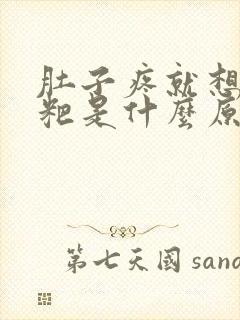 肚子疼就想拉粑粑是什么原因