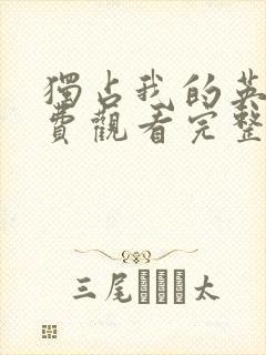 独占我的英雄免费观看完整版高清