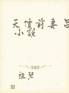 天价前妻 吕颜 小说封面