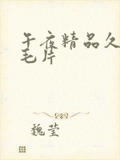 午夜精品久久久毛片