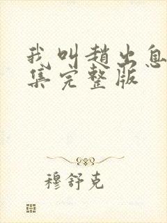 我叫赵出息30集完整版