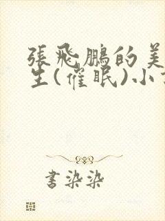 张飞鹏的美妙人生(催眠)小说