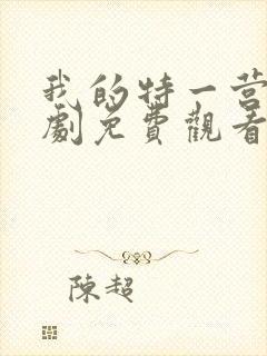 我的特一营电视剧免费观看全集