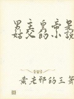 男主皇帝是女主姑父的小说