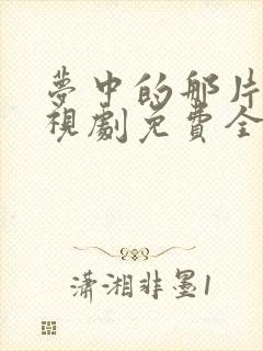 梦中的那片海电视剧免费全集