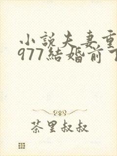 小说夫妻重生1977结婚前下载