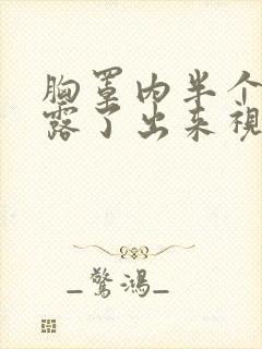 胸罩内半个奶都露了出来视频