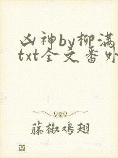 凶神by柳满坡txt全文番外