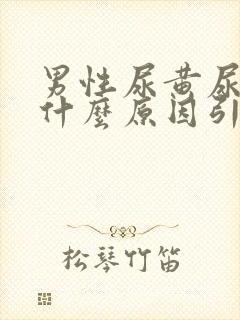 男性尿黄尿疼是什么原因引起的封面