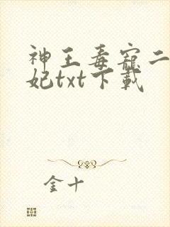 神王毒宠二嫁王妃txt下载