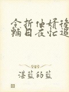 令折他婿后,首辅日夜忙追妻免费看小说