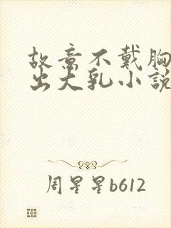 故意不戴胸罩露出大乳小说