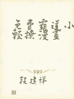 免费霸道小叔请轻撩漫画封面