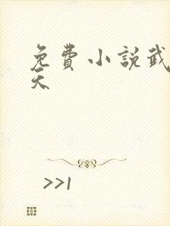 免费小说武道凌天