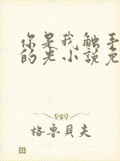 你是我触手可及的光小说免费阅读笔趣阁