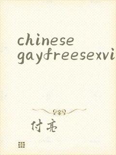 chinesegayfreesexvideo封面