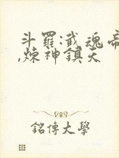 斗罗:武魂帝塔,炼神镇天