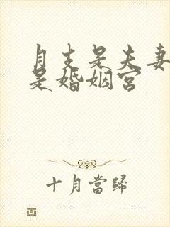 月支是夫妻宫还是婚姻宫