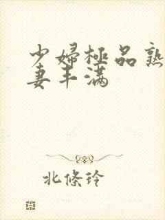 少妇极品熟妇人妻丰满