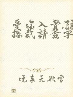 爱你入骨,隐婚总裁请签字封面