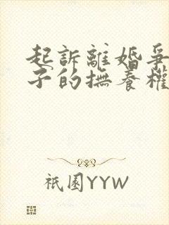 起诉离婚争取孩子的抚养权