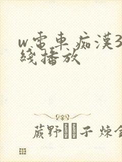 w电车痴汉3在线播放
