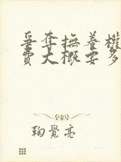 争夺抚养权律师费大概要多少钱