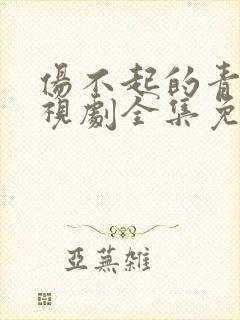 伤不起的青春电视剧全集免费观看