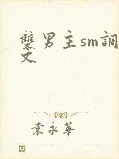 双男主sm调教文