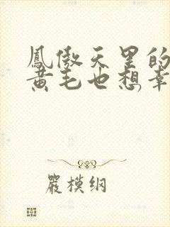凤傲天里的反派黄毛也想幸福小说