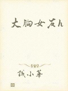 大胸女友h封面