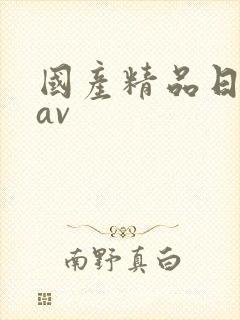 国产精品日韩.av
