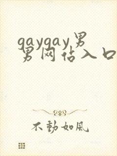 gaygay男男网站入口封面