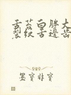 舌苔白胖大中间裂纹舌边齿痕