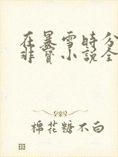 在暴雪时分墨宝非宝小说全集下载封面