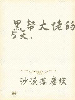 黑帮大佬的365天.