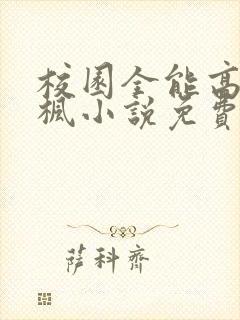 校园全能高手季枫小说免费阅封面