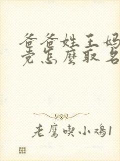 爸爸姓王妈妈姓党怎么取名