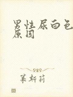 男性尿白色什么原因