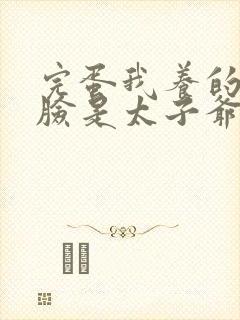 完蛋我养的小白脸是太子爷