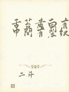 舌苔黄白有齿痕中间有裂纹吃什么药