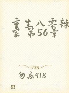 重生八零辣妻当家 第56章