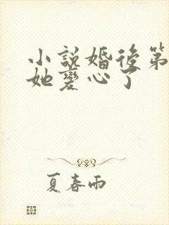 小说婚后第三年她变心了封面