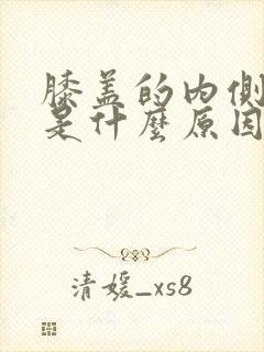 膝盖的内侧疼痛是什么原因